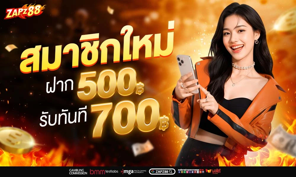 โปรโมชั่น ZAPZEED